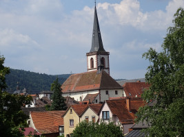 BFR Jahrestour 2022 in den Spessart zum Hotel Spechtshaardt