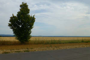 BFR Jahrestour 2022 in den Spessart zum Hotel Spechtshaardt