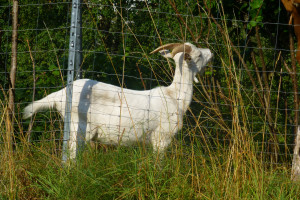 BFR Jahrestour 2022 in den Spessart zum Hotel Spechtshaardt