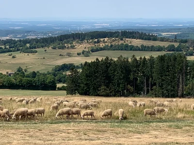BFR Jahrestour 2022 in den Spessart zum Hotel Spechtshaardt