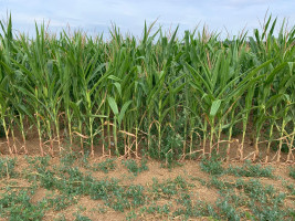 BFR Jahrestour 2022 in den Spessart zum Hotel Spechtshaardt