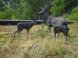 BFR Jahrestour 2022 in den Spessart zum Hotel Spechtshaardt