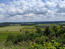 Kurventour zum Sprudelwasser