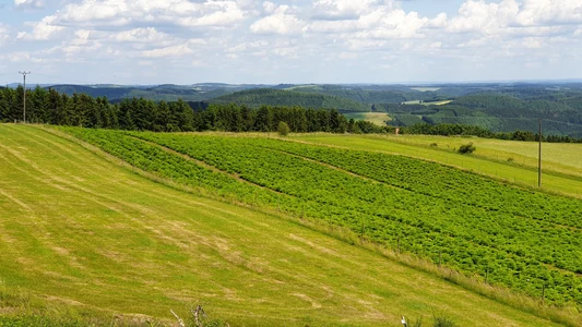 Kurventour zum Sprudelwasser