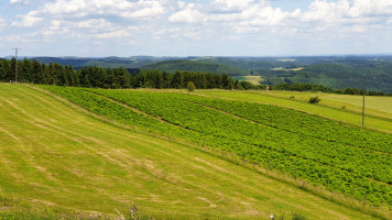 Kurventour zum Sprudelwasser