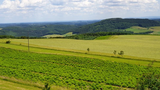 Kurventour zum Sprudelwasser