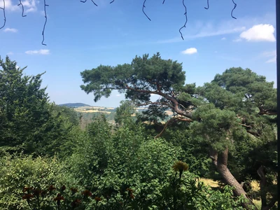 GG Sommertour zur Wacholderhütte