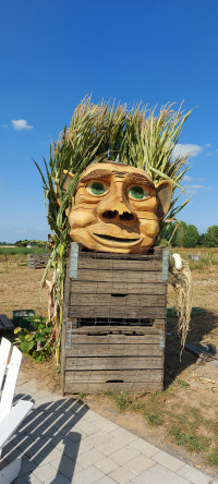 Gemütliche Tour zum Gut Kallerbend