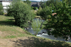 Gemütliche Tour zum Gut Kallerbend