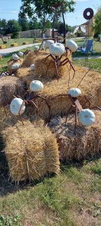 Gemütliche Tour zum Gut Kallerbend