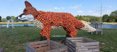 Gemütliche Tour zum Gut Kallerbend