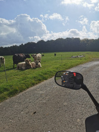 Samstagstour nach Bad Hönningen