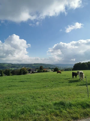 Samstagstour nach Bad Hönningen