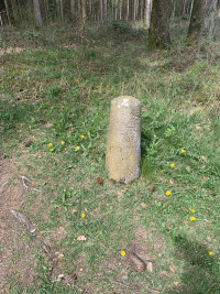 Keine Angst vor dem Schwarzen Mann