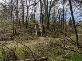 Keine Angst vor dem Schwarzen Mann