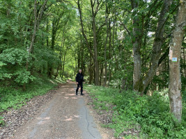 Runde um die großen Eifelmaare