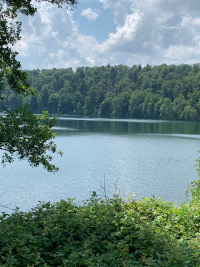 Runde um die großen Eifelmaare