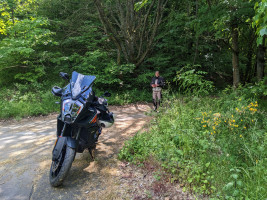 Runde um die großen Eifelmaare