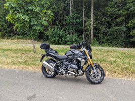 GG Immer der Nase nach