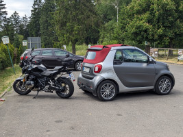 GG Immer der Nase nach