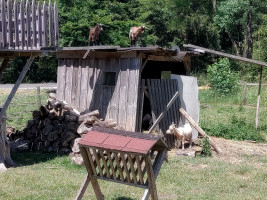 GG Südeifel-Bikertour